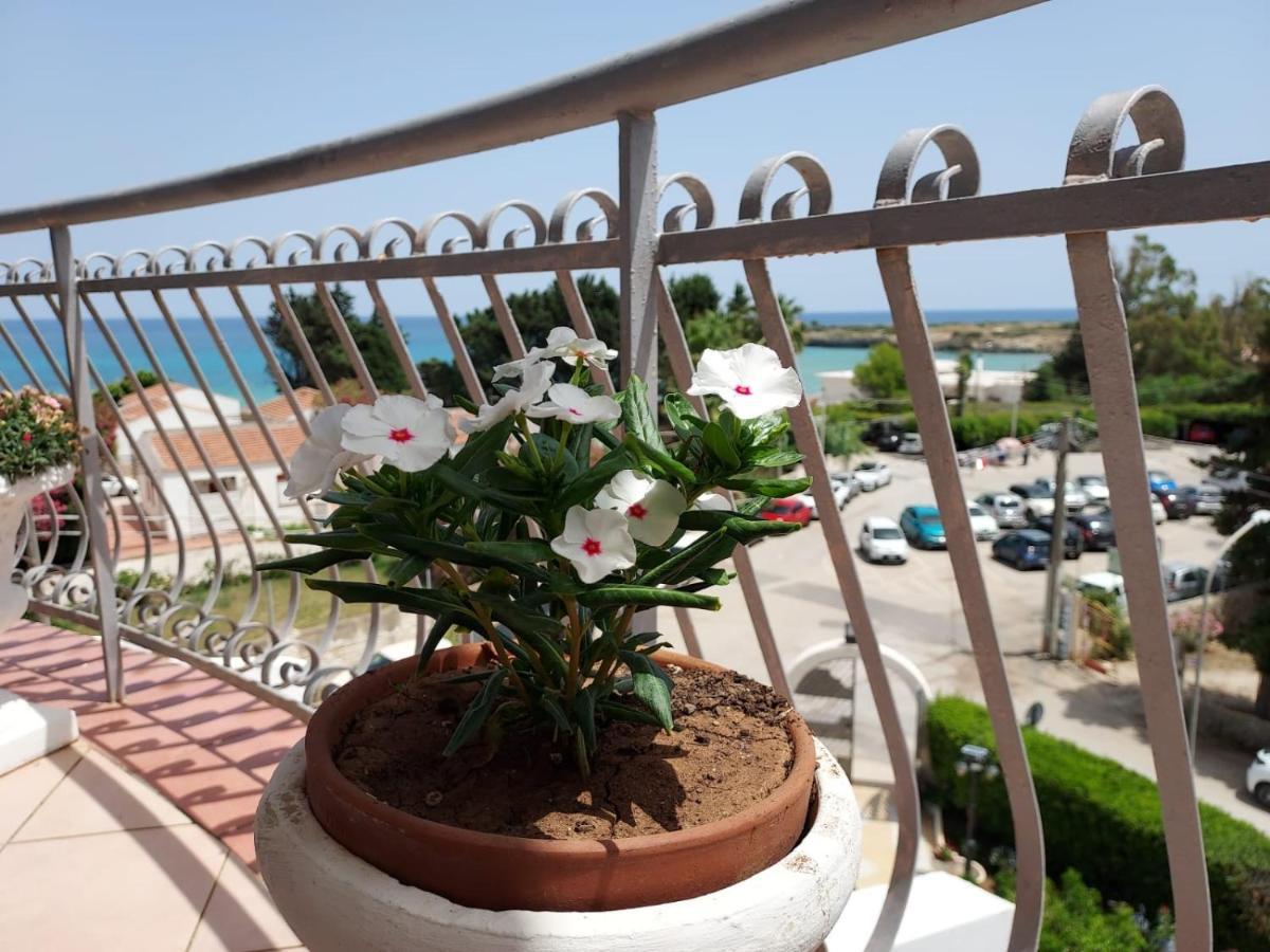 Guest house Arenella